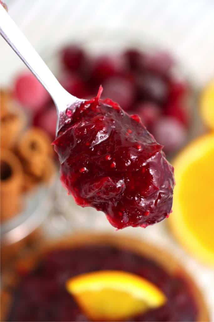 Closeup shot of spoonful of cranberry sauce