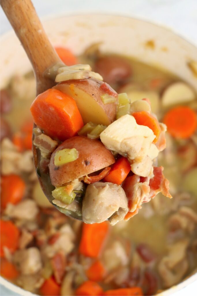 Closeup overhead shot of spoonful of chicken thigh stew over pot of more stew.