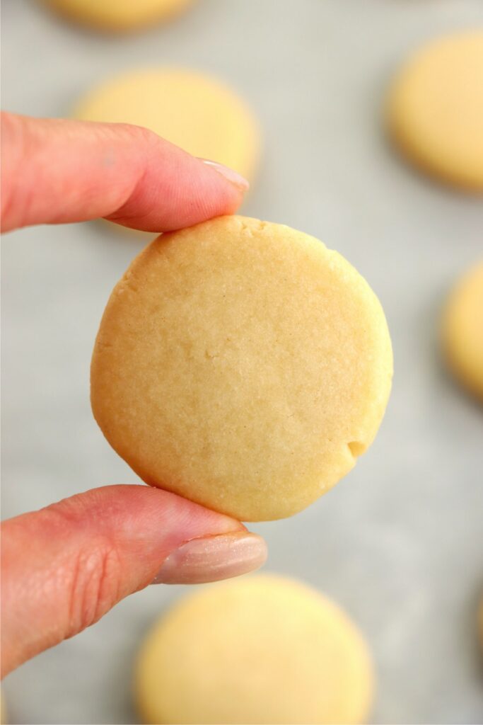 Closeup shot of hand holding cookie