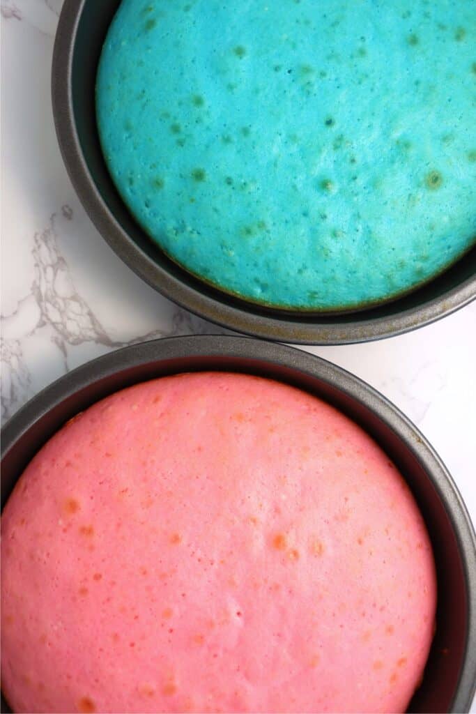 Overhead shot of baked cakes in cake pans