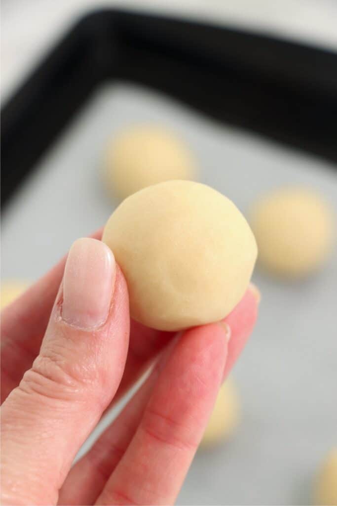 Closeup shot of hand holding a sugar cookie ball
