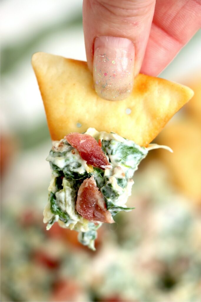 Closeup shot of pita chip dipped in artichoke dip.