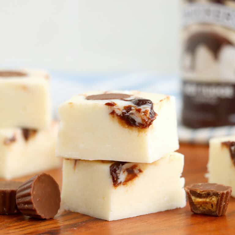 Moosetracks Fudge