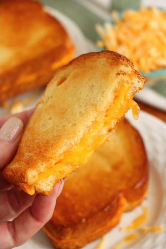 Closeup shot of hand holding half a toaster oven grilled cheese sandwich