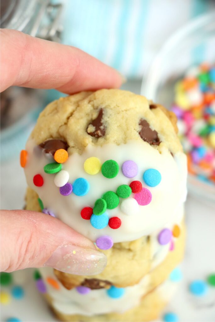 Closeup shot of hand holding a chocolate chip Easter cookie