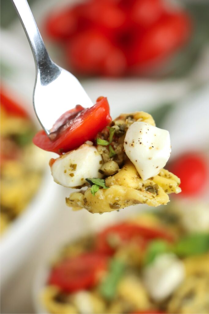 Closeup shot of forkful of pesto tortellini salad