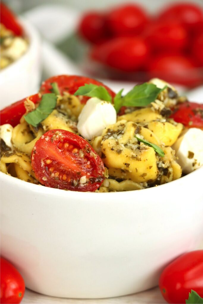 Closeup shot of bowlful of pest tortellini salad