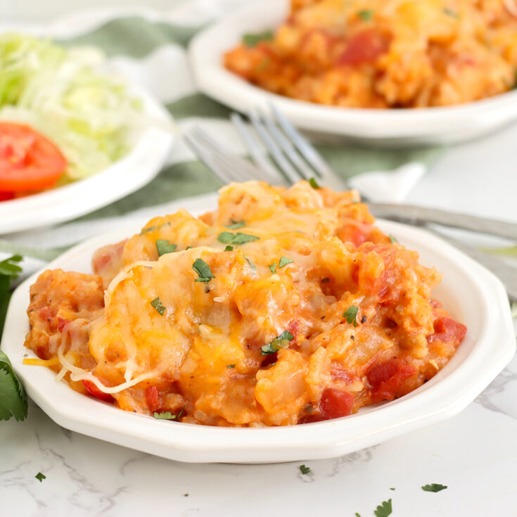 Slow Cooker Taco Chicken and Rice