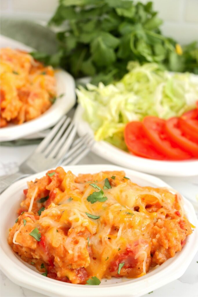 Closeup shot of plateful of slow cooker taco chicken and rice with salad ingredients in background