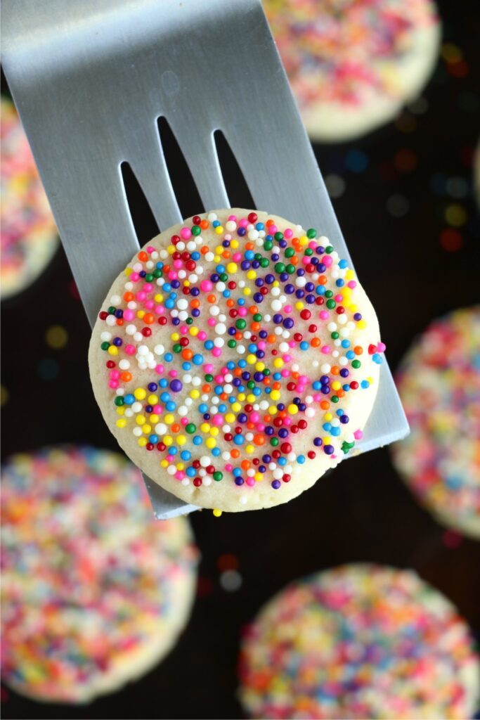 Overhead shot of sprinkle sugar cookie on spatula.