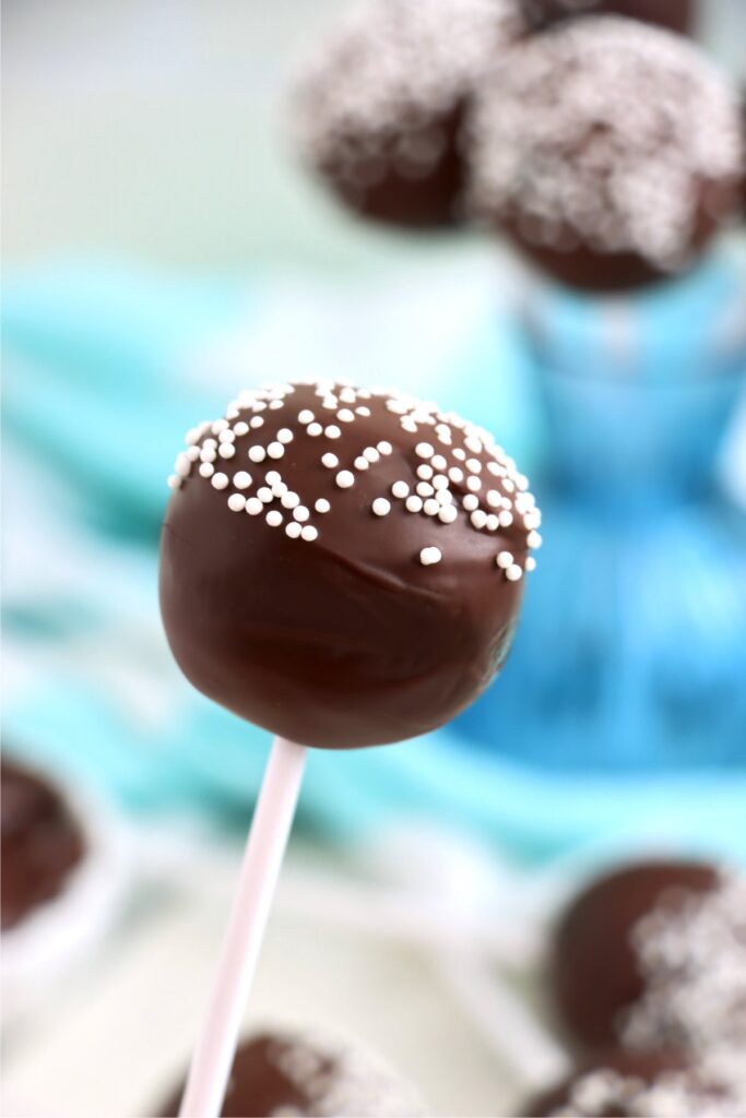 Closeup shot of Starbucks cake pop 