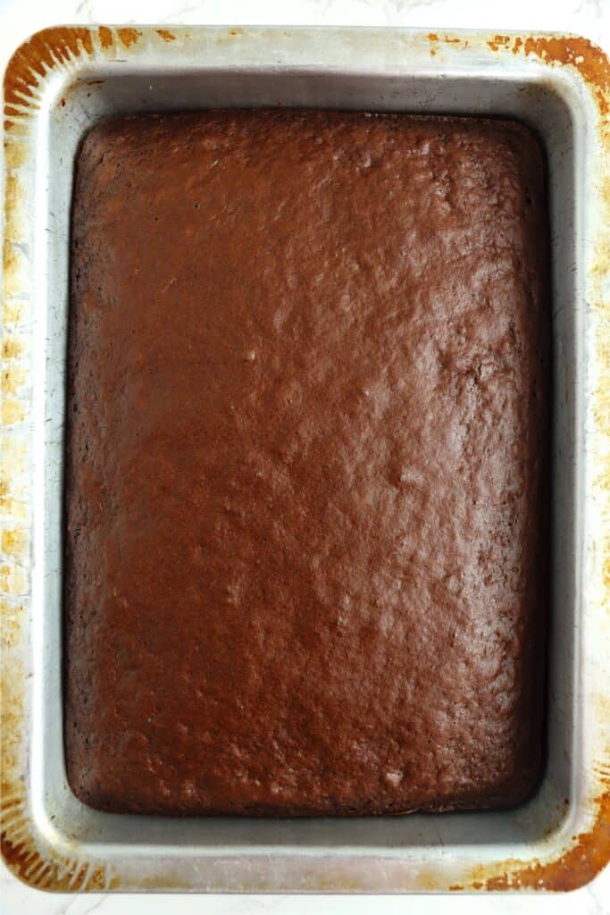 Overhead shot of chocolate cake in baking dish