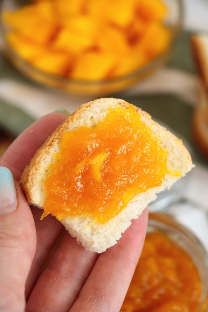 Closeup shot of hand holding roll with mango jam spread on it.