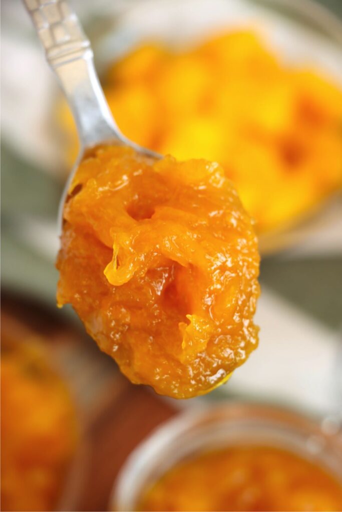 Closeup shot of spoonful of homemade mango jam.