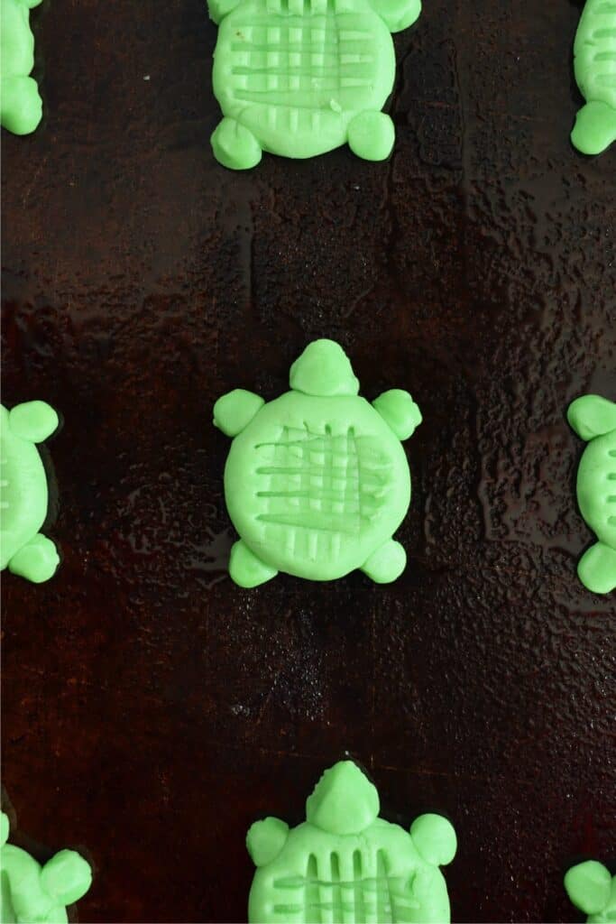 Overhead shot of unbaked sea turtle sugar cookies on baking sheet
