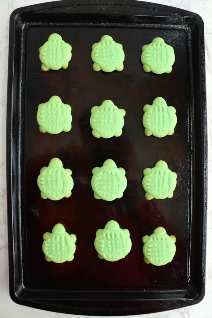 Overhead shot of baked sea turtle sugar cookies on baking sheet