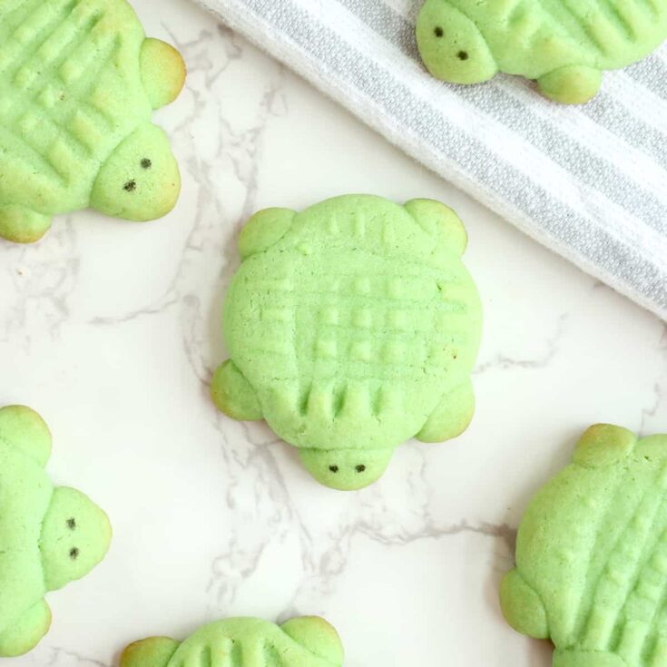 Turtle Sugar Cookies