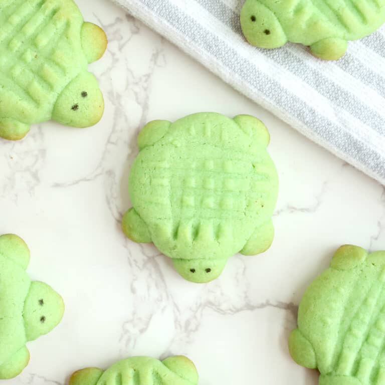 Turtle Sugar Cookies