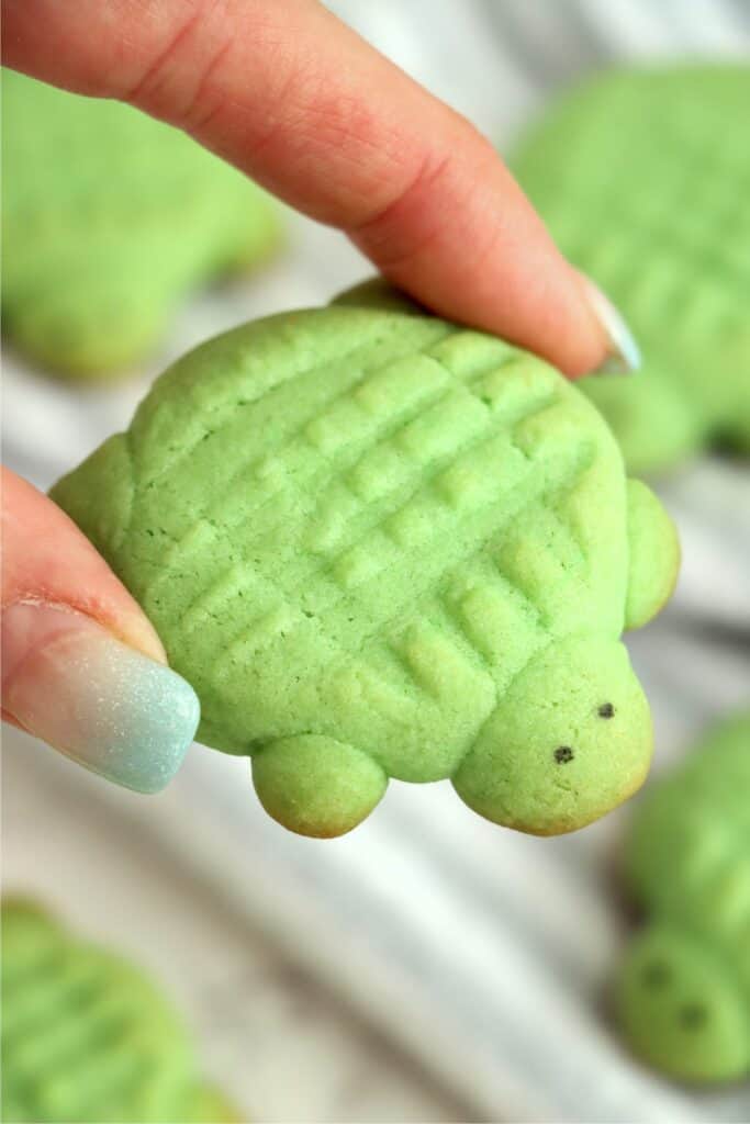 Closeup shot of hand holding sea turtle sugar cookie