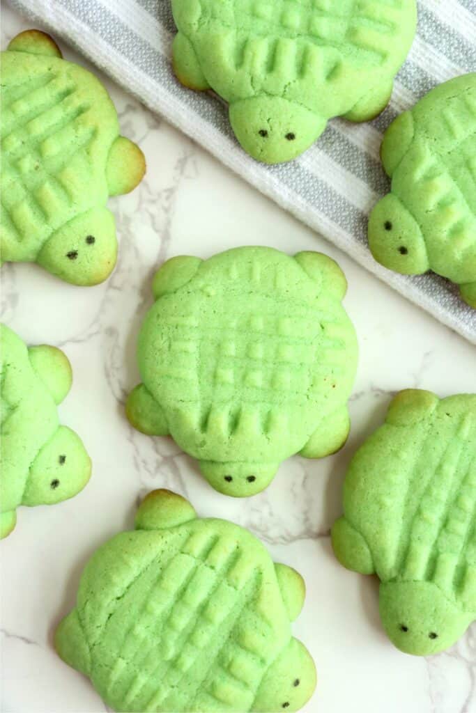 Overhead shot of sea turtle cookiesn on table