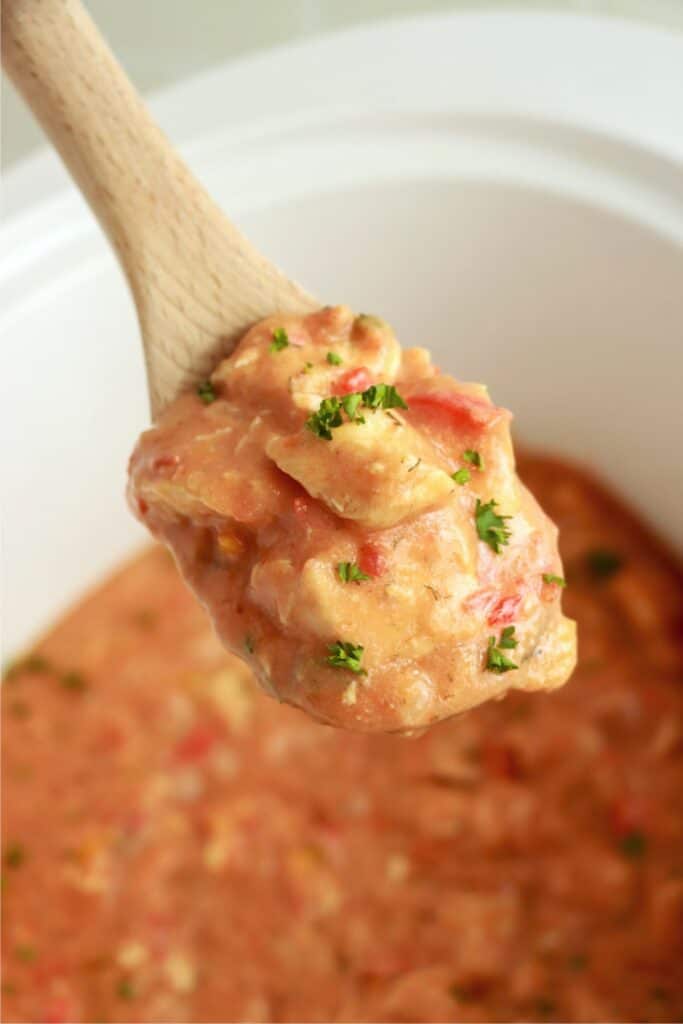 Closeup shot of spoonful of slow cooker chicken paprikash