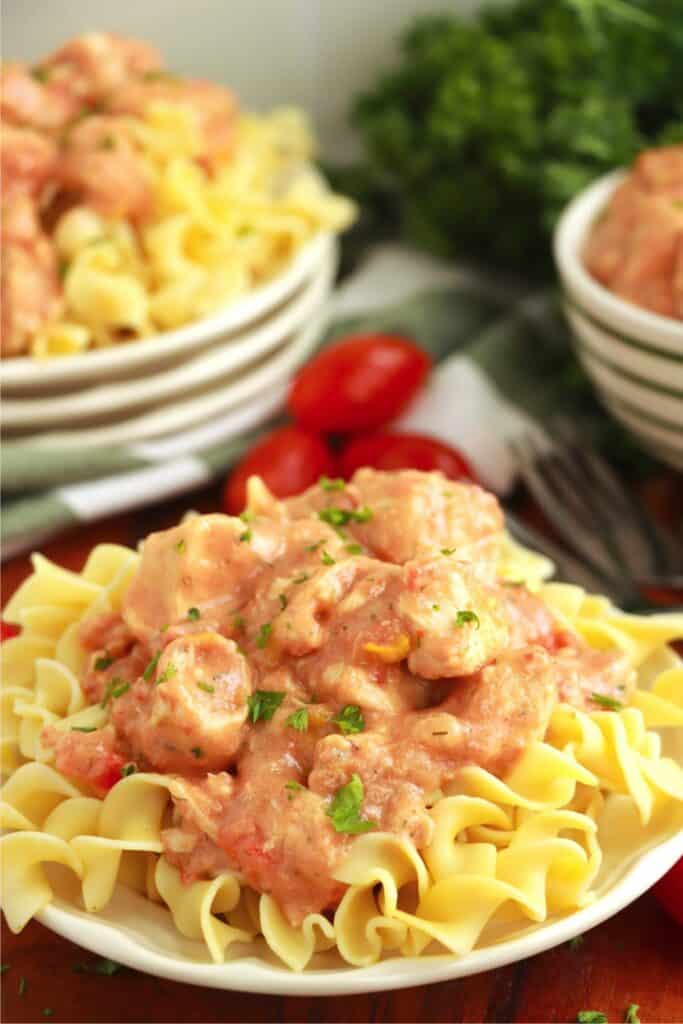Closeup shot of slow cooker chicken paprikash with egg noodles on plate