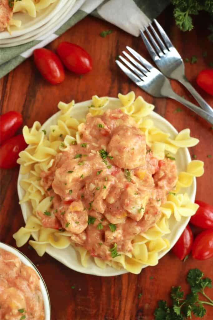 Overhead shot of slow cooker chicken paprikash on a bed of noodles on plate.