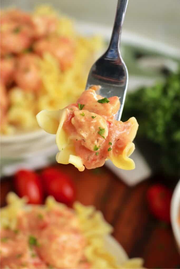 Closeup shot of forkful of slow cooker chicken kaprikash over plate of more chicken kaprikash