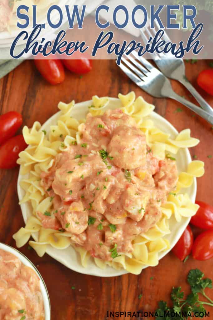 Overhead shot of plateful of egg noodles topped with slow cooker chicken paprikash.