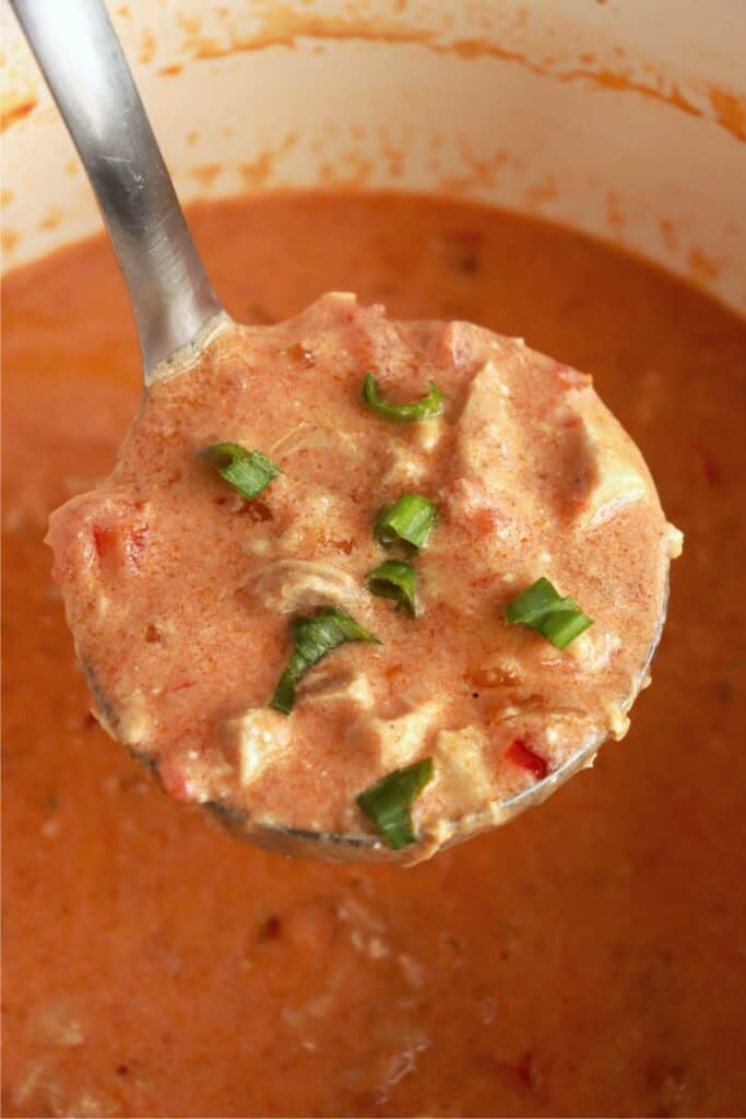 Closeup shot of ladle full of chicken paprikash soup.