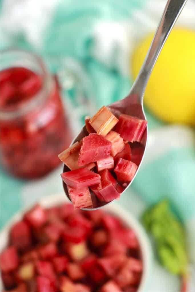 Closeup shot of spoonful of pickled rhubarb over bowl of more rhubarb