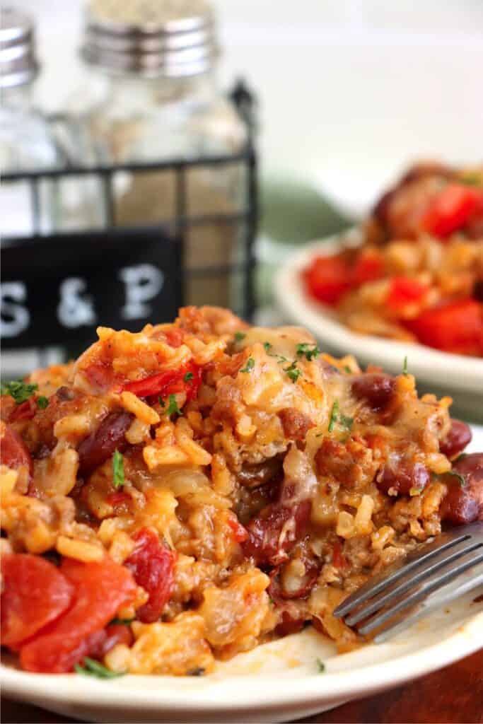 Closeup shot of plateful of southwestern beef and rice skillet