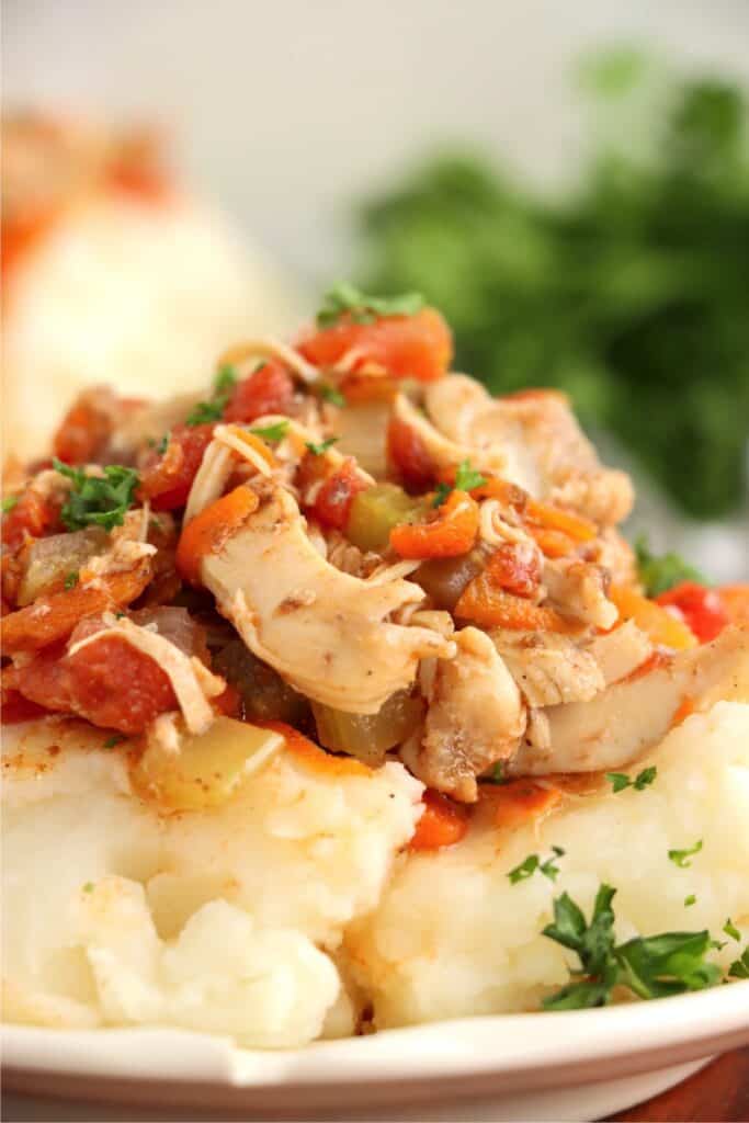 Closeup shot of slow cooker Moroccan chicken over mashed potatoes. 