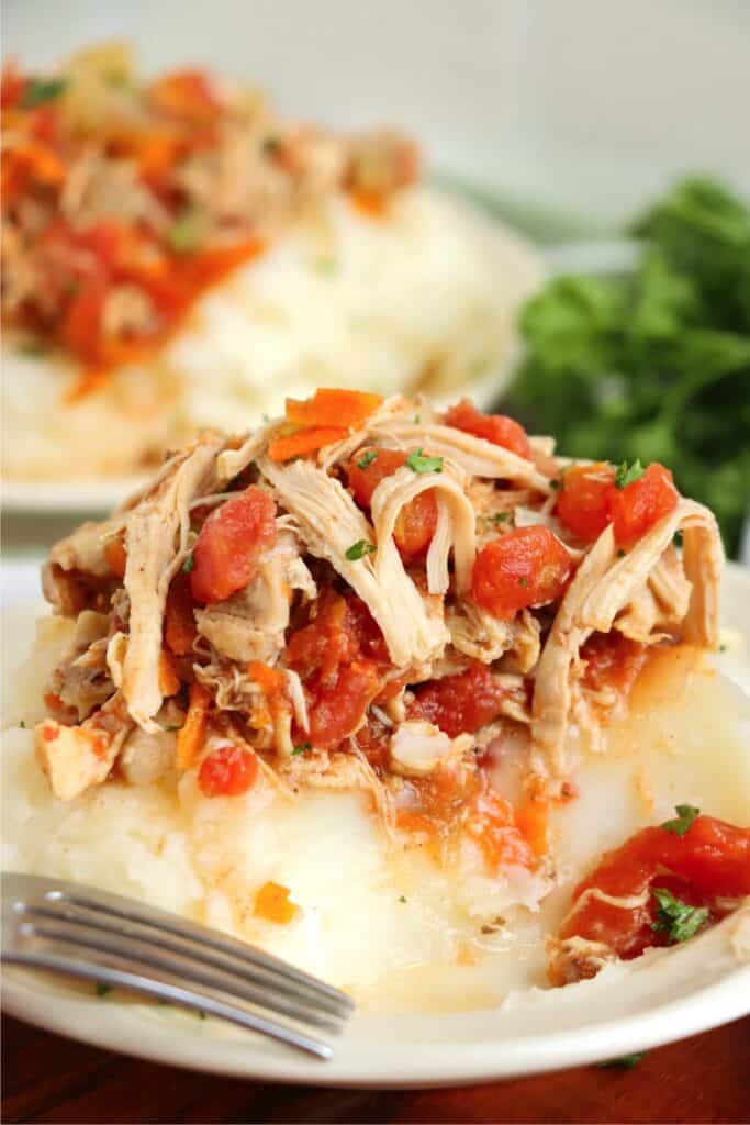 Closeup shot of shredded slow cooker Moroccan chicken thighs over mashed potatoes on plate