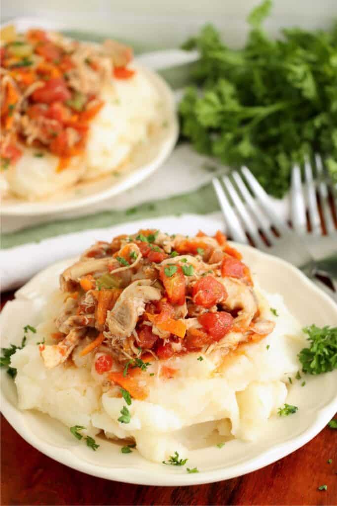 Slow cooker Moroccan chicken thighs over mashed potatoes on plate.