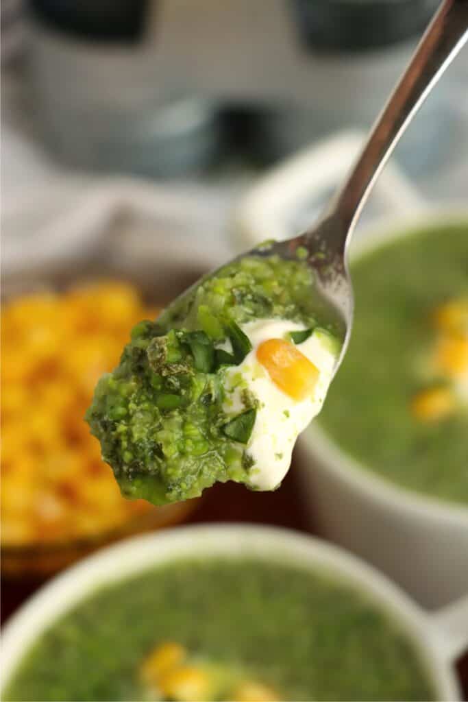 Closeup shot of spoonful of kale and spinach soup. 