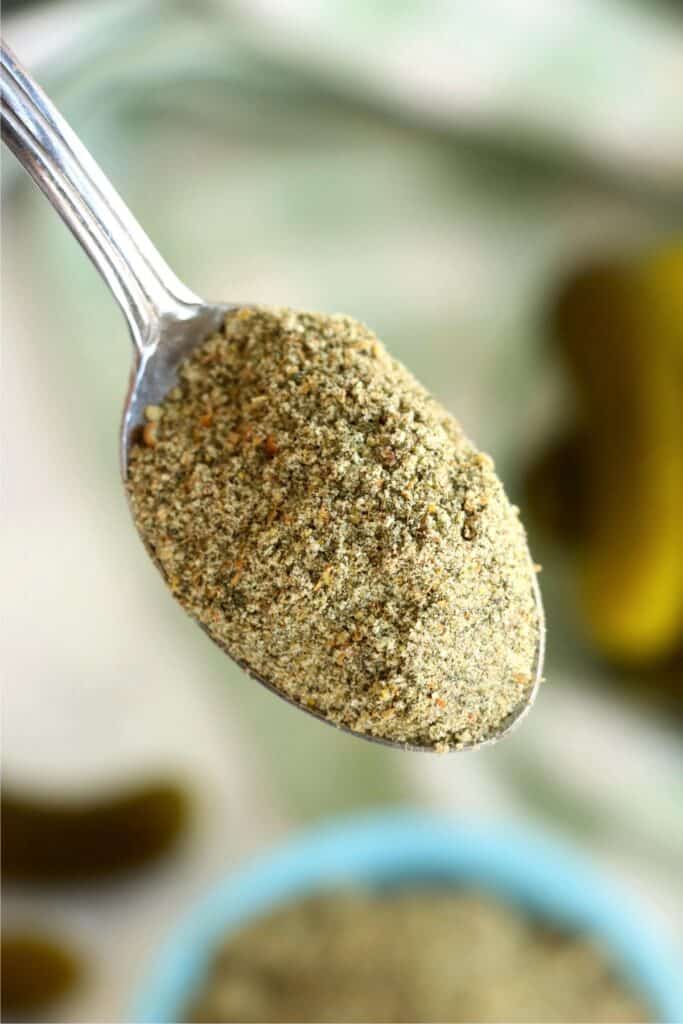 Closeup shot of spoonful of dill pickle seasoning.