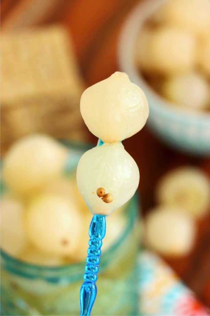 Closeup shot of two pickled pearl onions on skewer. 