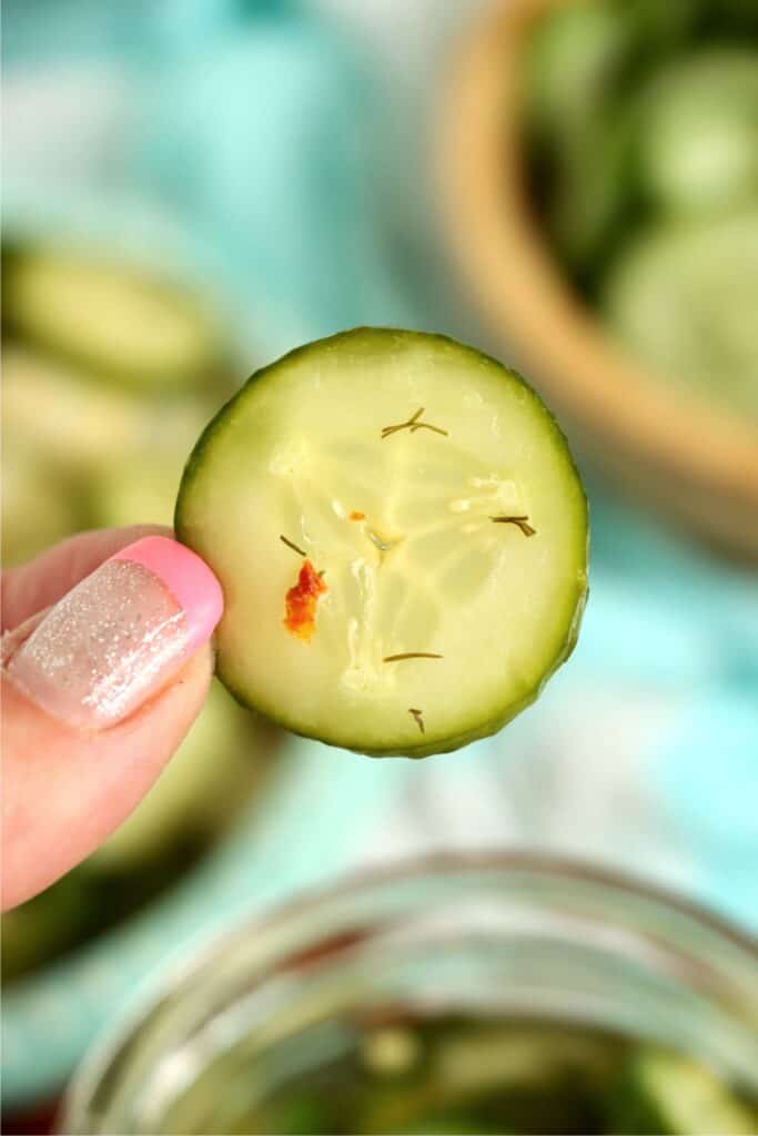 Closeup shot of hand holding a sweet and spicy pickle. 