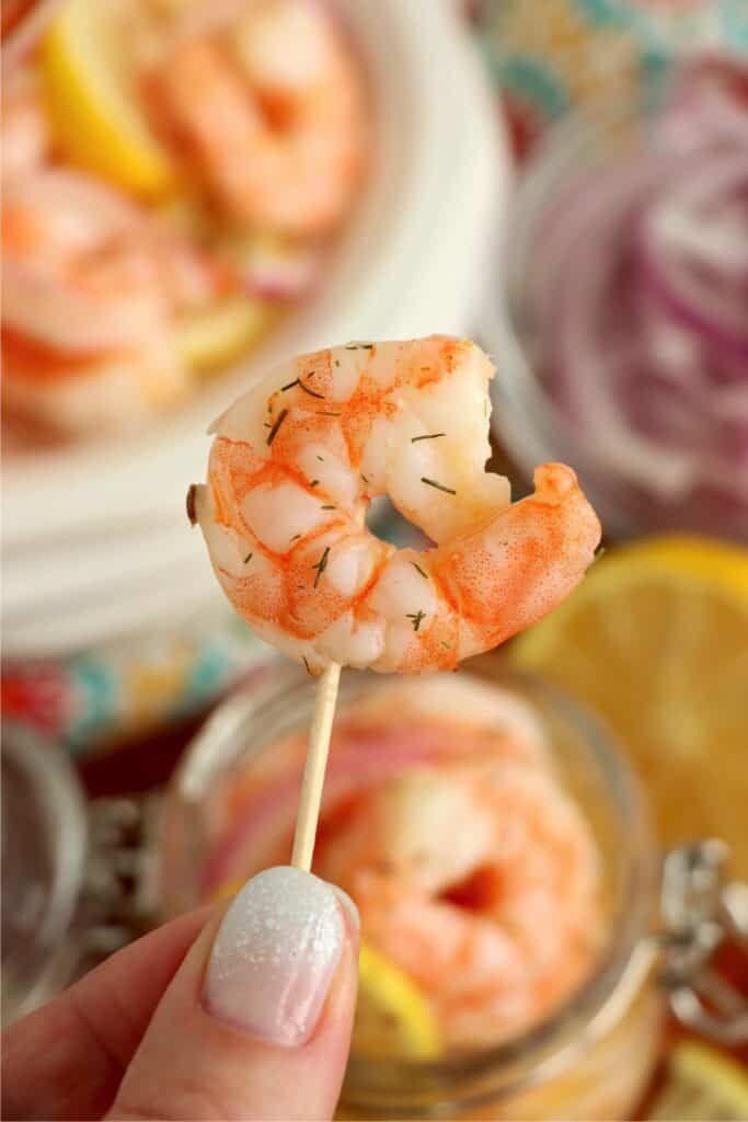 Closup shot of pickled shrimp on toothpick