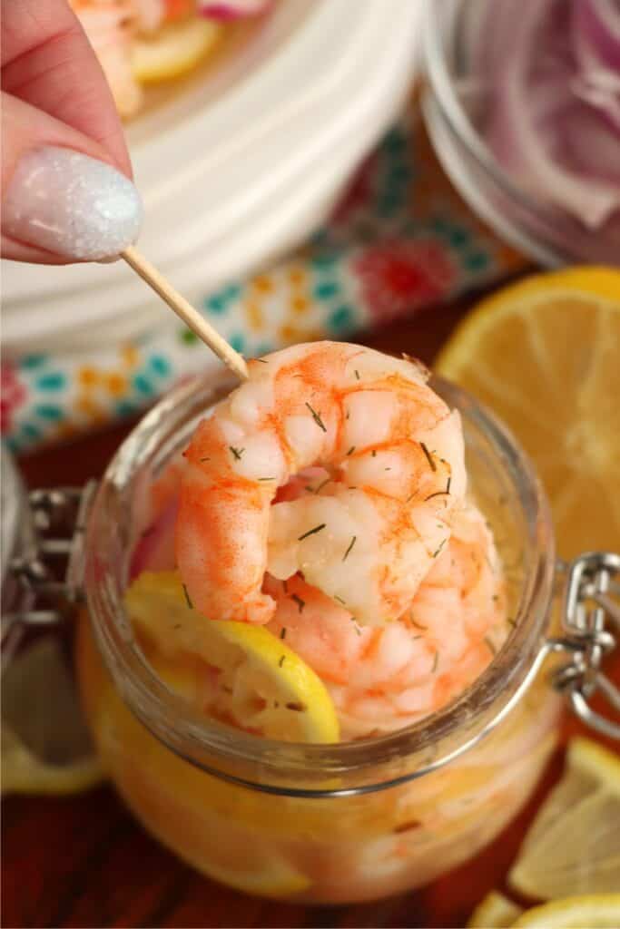 Closeup shot of pickled shrimp on toothpick