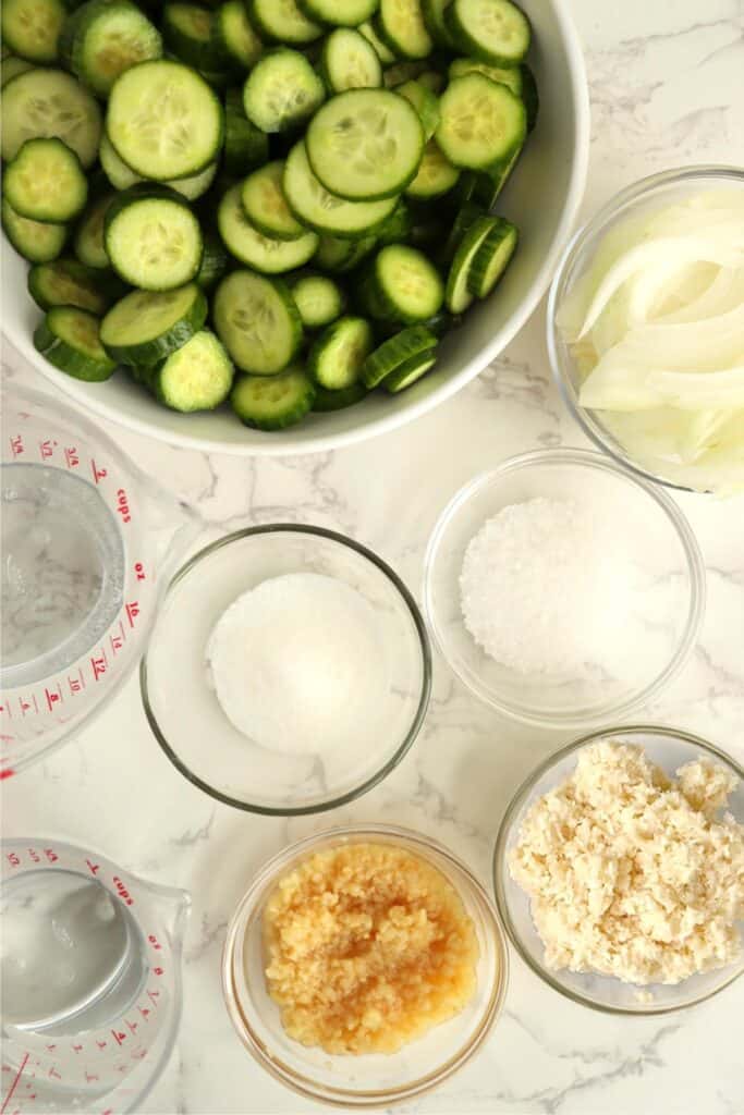 Overhead shot of ingredients for horseradish pickles in individual bowls. 