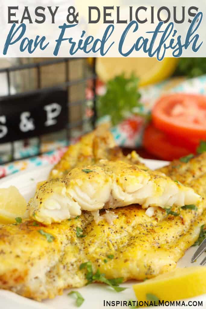 Closeup shot of two pan fried catfish filets stacked atop one another on plate.