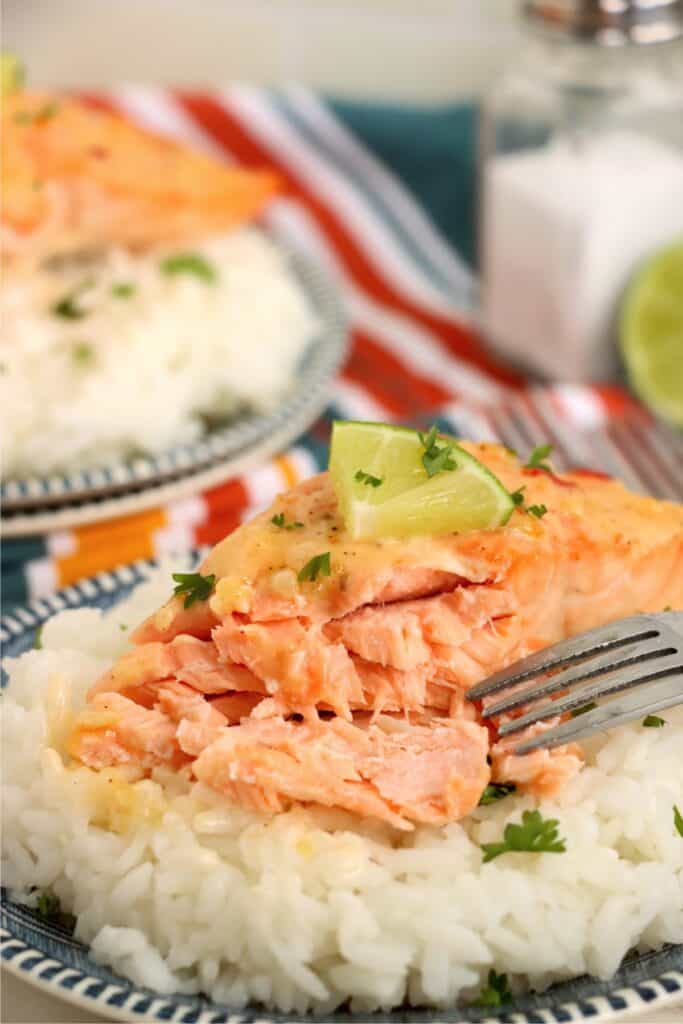 Closeup shot of flaked baked salmon with mayonnaise over rice. 