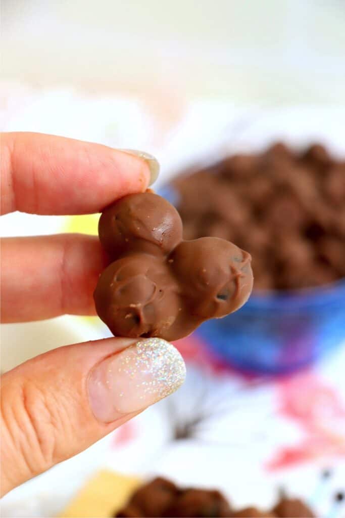 Closeup shot of hand holding chocolate covered blueberries