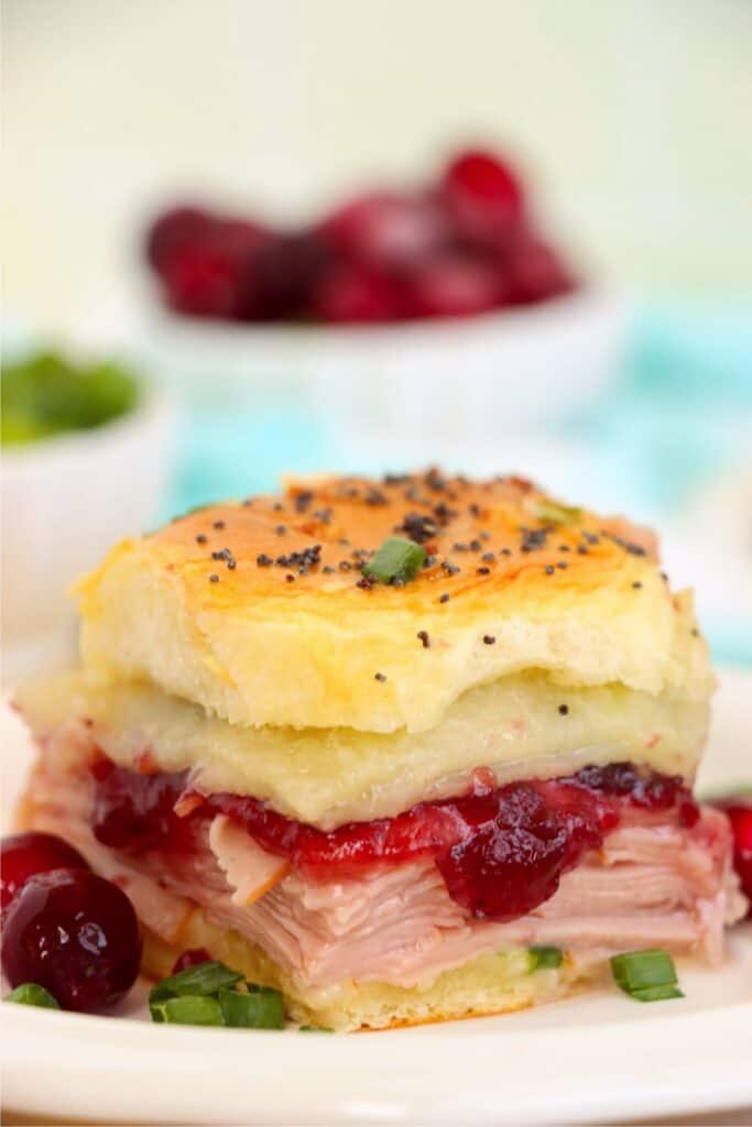  Closeup shot of turkey cranberry slider on plate. 
