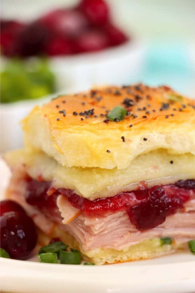 Closeup shot of turkey cranberry slider on plate. 