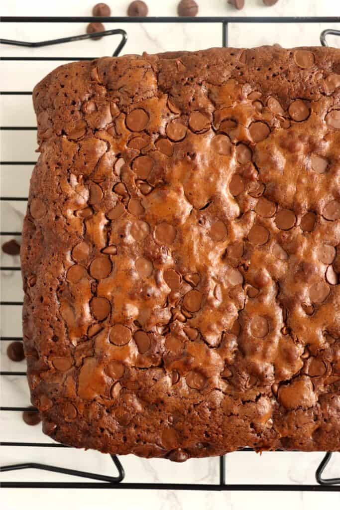 Overhead shot of uncut chocolate chip brownies on wire cooling rack. 
