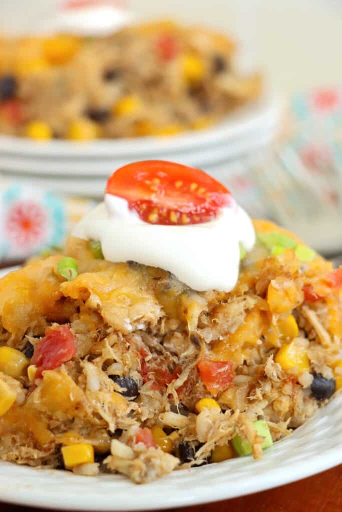  Closeup shot of plateful of Mexican chicken and rice casserole